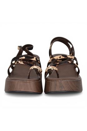  EXE' | 016-MIX BROWN